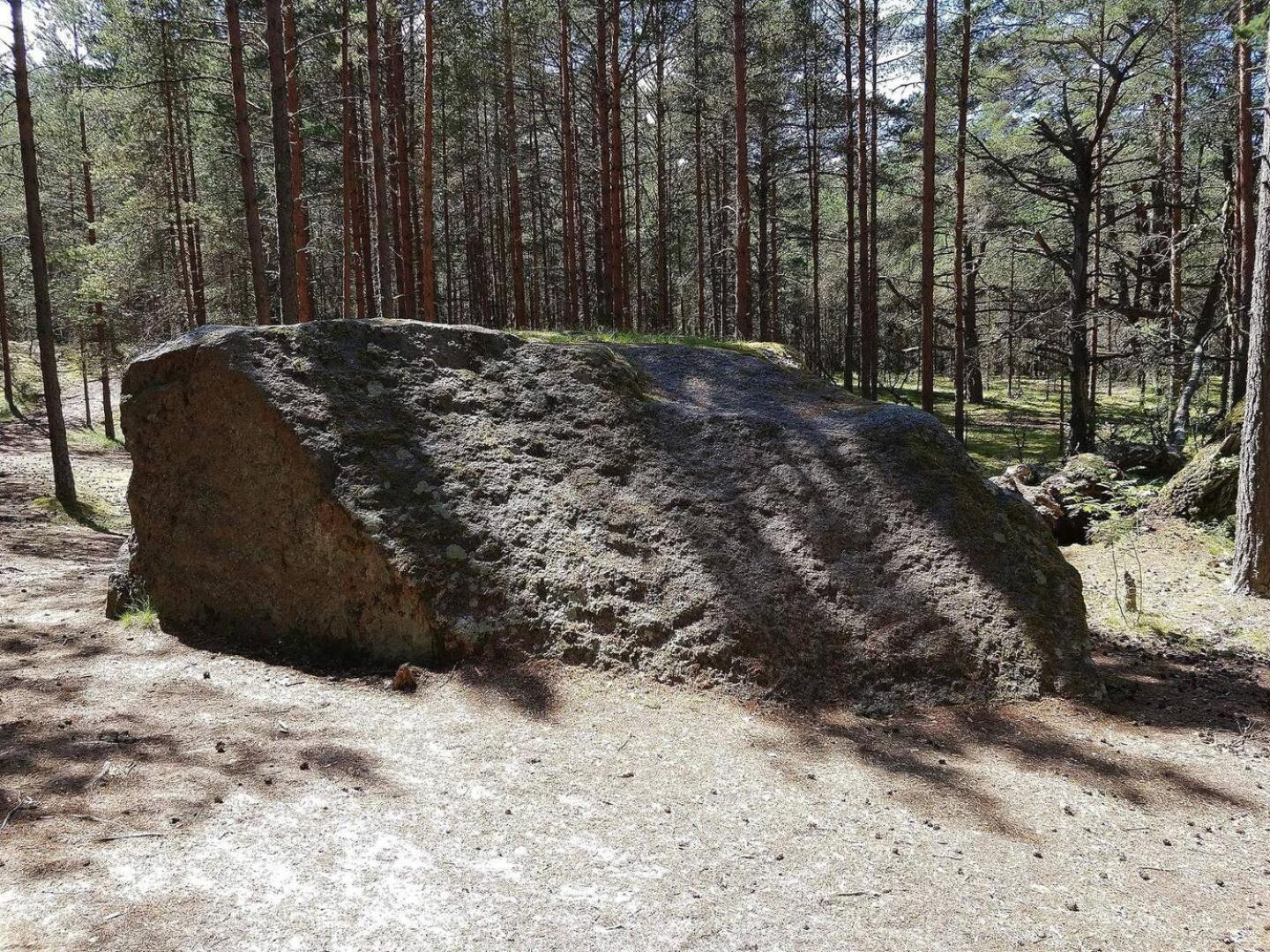 Norwegian Saunahouse Haapse 외부 사진